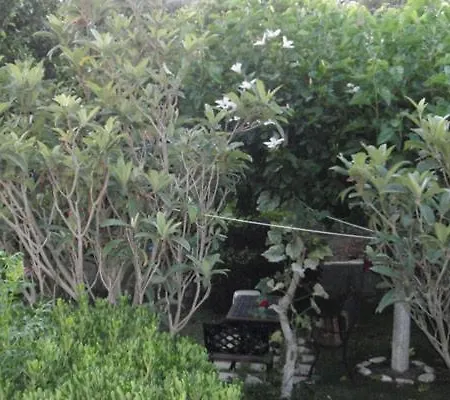 Appartement Panorama Und