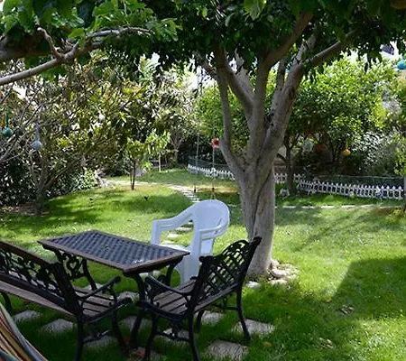Panorama Und Λέντας