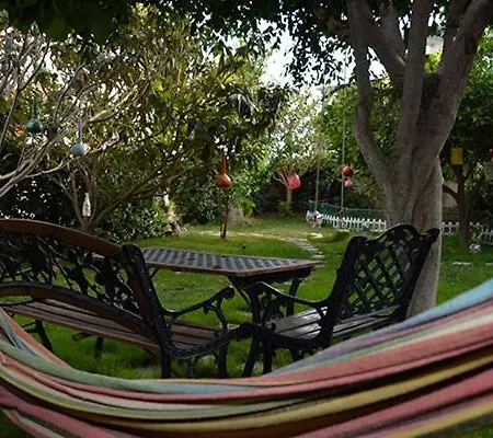 Panorama Und